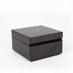 Luxury watch gift packaging with metallic logo
